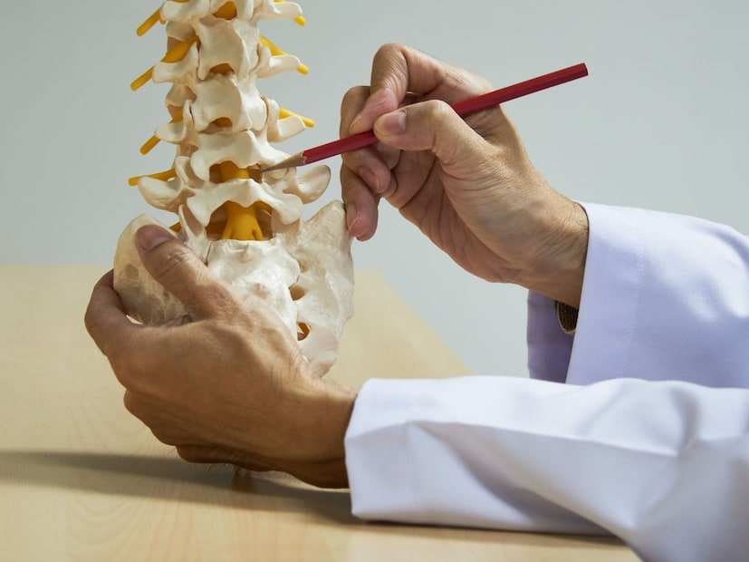 1. लवचिकतेसाठी लहान तुकडे:जन्माच्या वेळी बाळाचा सांगाडा हा अनेक लहान तुकड्यांमध्ये विभागलेला असतो. ही हाडे बरीच लहान असतात आणि एकमेकांपासून थोडी वेगळी असतात. उदाहरणार्थ, बाळाच्या कवटीची (Skull) हाडे जन्मावेळी पूर्णपणे जोडलेली नसतात, त्यांच्यामध्ये जागा असते. यामुळे प्रसूतीची प्रक्रिया (Delivery Process) सुलभ होण्यास मदत होते.