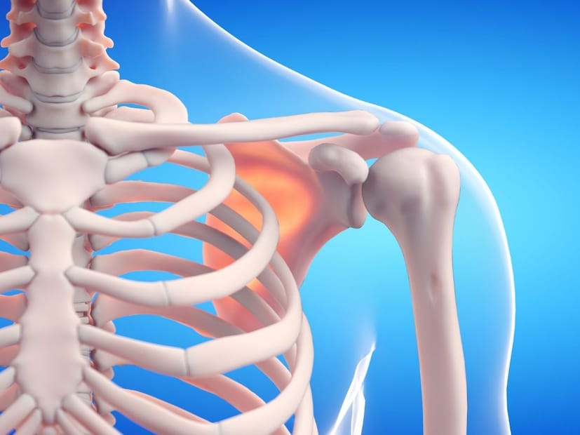 2. हाडे नव्हे, तर 'कूर्चा' (Cartilage):बाळाच्या शरीरातील जी 'जास्त' हाडे दिसतात, त्यापैकी अनेक प्रत्यक्षात कठीण हाडे नसतात, तर त्या कूर्चा (कार्टिलेज) या मऊ आणि लवचिक (Flexible) ऊतीपासून (Tissue) बनलेल्या असतात. कूर्चा हा हाडांपेक्षा जास्त लवचिक असतो, ज्यामुळे बाळ गर्भाशयात असताना आणि जन्माच्या वेळी शरीराला सहज वाकवू शकते. सुरक्षित वाढीसाठी ही लवचिकता खूप आवश्यक आहे.