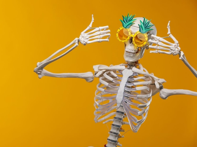 ही माहिती ऐकून तुम्हाला नक्कीच आश्चर्य वाटेल की, जेव्हा एखादे बाळ जन्माला येते, तेव्हा त्याच्या शरीरात प्रौढ व्यक्तीपेक्षा जास्त म्हणजे तब्बल 300 हून अधिक हाडे असतात. मग इथे प्रश्न उभा राहतो की, मोठी माणसे झाल्यावर ही अतिरिक्त हाडे नेमकी कुठे जातात? ती विरघळतात की आणखी काही होते? यामागे निसर्गाने केलेली एक खास आणि अत्यंत महत्त्वाची वैज्ञानिक व्यवस्था दडलेली आहे.