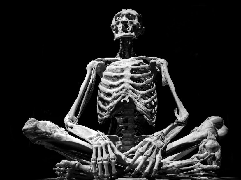 ही प्रक्रिया दर्शवते की, निसर्गाने मानवी शरीराची रचना किती काळजीपूर्वक केली आहे. जन्माच्या वेळी सुरक्षितता आणि लवचिकतेसाठी जास्त हाडे, तर मोठे झाल्यावर बळकट आधार देण्यासाठी तीच हाडे एकत्र येऊन मजबुती प्रदान करतात.