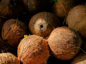 हिंदू धर्मात महिला नारळ का फोडत नाहीत? परंपरा की अंधश्रद्धा, काय आहे कारण? हिंदू धर्मात महिला नारळ का फोडत नाहीत? परंपरा की अंधश्रद्धा, काय आहे कारण?