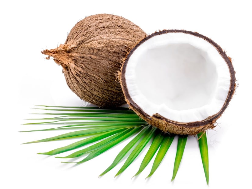 हिंदू धर्मात नारळाला 'बीज' (Seed) किंवा उत्पत्तीचे प्रतीक मानले जाते. नारळाच्या आतला भाग, विशेषतः खोबरं, प्रजनन क्षमता (Fertility) दर्शवतो. महिलांना साक्षात 'सृजनशक्ती' (Procreation Power) म्हणून पाहिलं जातं. एका मान्यतेनुसार, बीज स्वरूपातील नारळ फोडणे हे सृजनशक्तीला नष्ट करण्यासारखे आहे, म्हणूनच महिला नारळ फोडणे टाळतात.