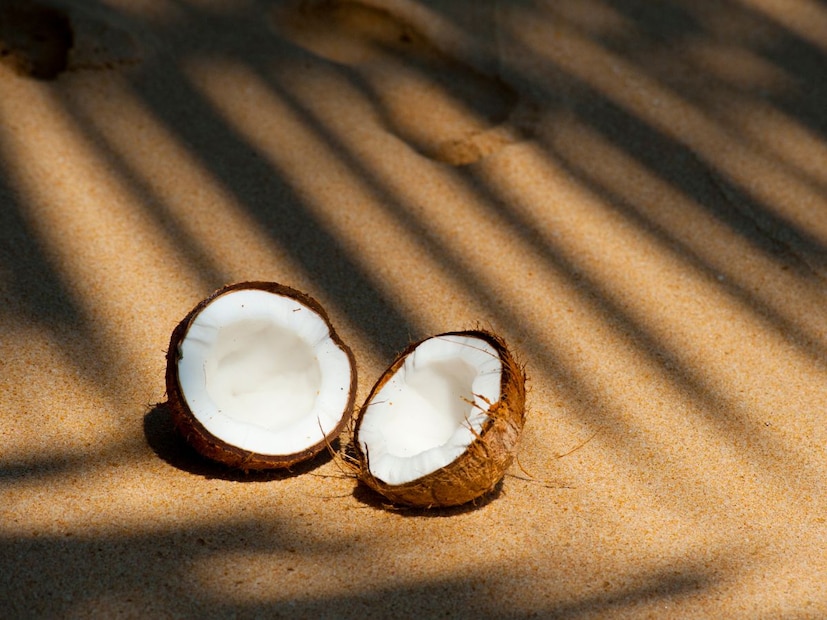 महिला नारळ का फोडत नाहीत? ही केवळ रूढी आहे की यामागे काही ठोस धार्मिक, वैज्ञानिक किंवा प्रतीकात्मक कारण दडलेले आहे. आज याच प्रश्नाचं सखोल उत्तर आपण जाणून घेणार आहोत.