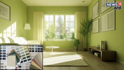 Home Colors Impact Life: Vastu Reveals Shocking Truths About Your Walls!