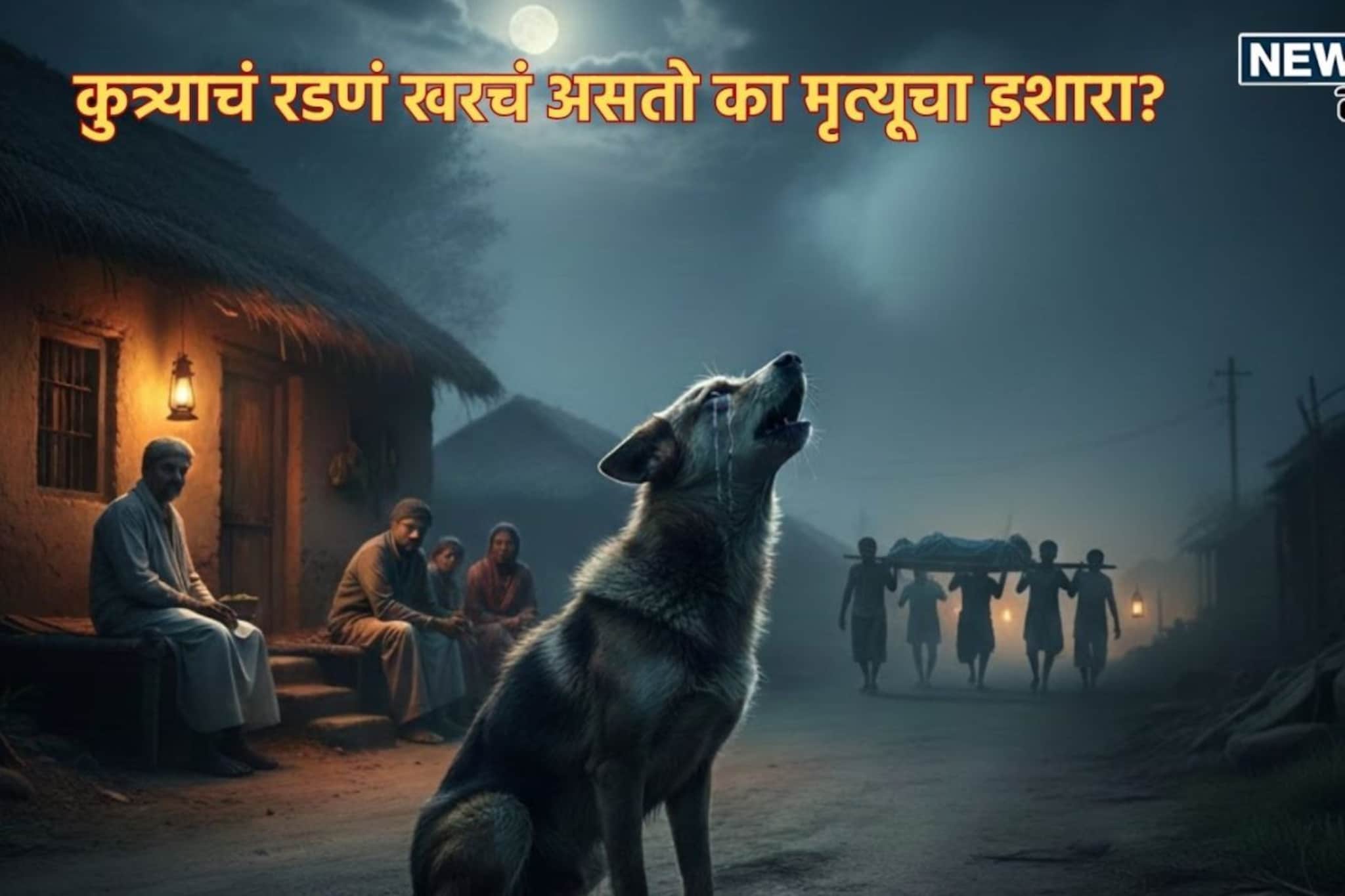कुत्र्याचं रडणं आणि मृत्यू; खरोखरच घरातील व्यक्तीवर येतं का जीवघेणं संकट?