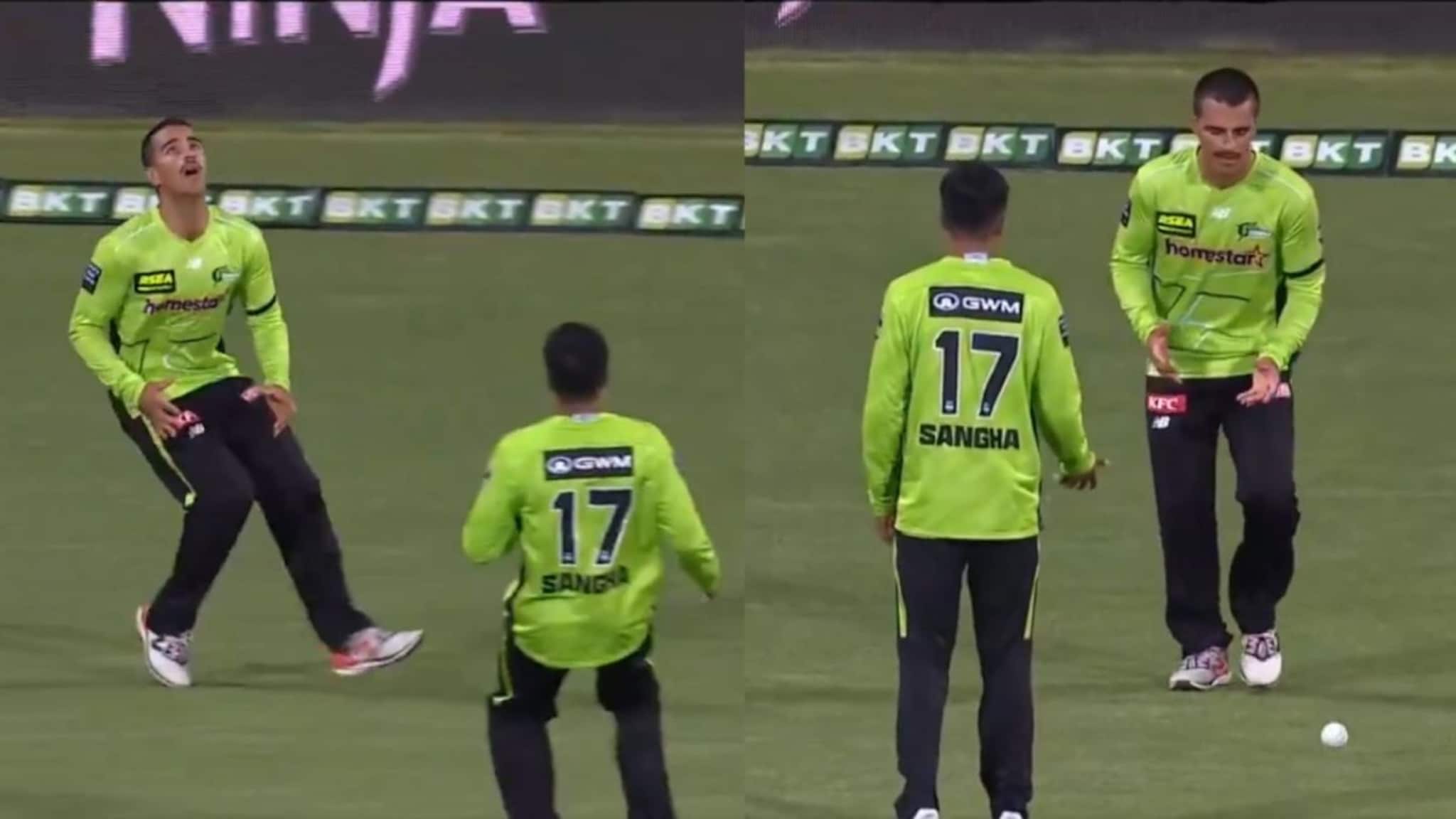 सर्वजण IPL Auction बघत बसले, तिकडे BBLमध्ये ‘तू घे… तू घे…’ करत झाली कॉमेडी सर्कस; फील्डिंग ड्रामा Video