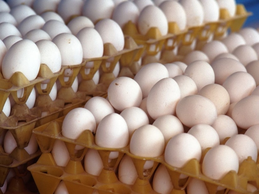 भारतातील स्थितीभारतात अंडी साधारणपणे न धुताच विकली जातात. यामुळे, अंड्याच्या कवचावरील नैसर्गिक थर सुरक्षित राहतो, जो अंड्याला बाहेरील जीवाणूंपासून वाचवतो. यामुळे, भारतातील अंडी सामान्य खोलीच्या तापमानावरही ठेवता येतात.