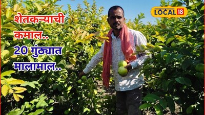 Agriculture Success: 20 गुंठ्यात 4 लाख! मराठवाड्यातील शेतकऱ्याला सापडला यशाचा फॉर्म्युला, काय केलं?