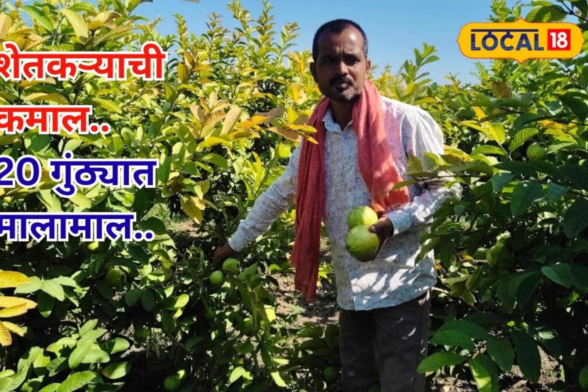 20 गुंठ्यात 4 लाख! मराठवाड्यातील शेतकऱ्याला सापडला यशाचा फॉर्म्युला, काय केलं?