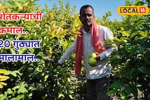 Agriculture Success: 20 गुंठ्यात 4 लाख! मराठवाड्यातील शेतकऱ्याला सापडला यशाचा फॉर्म्युला, काय केलं?