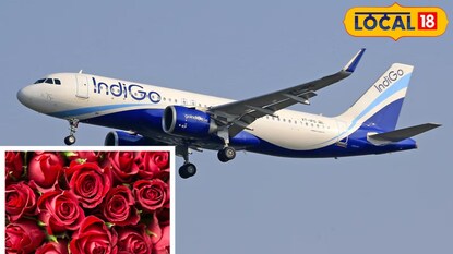 गुलाबफुलांची वाहतूक थांबली 