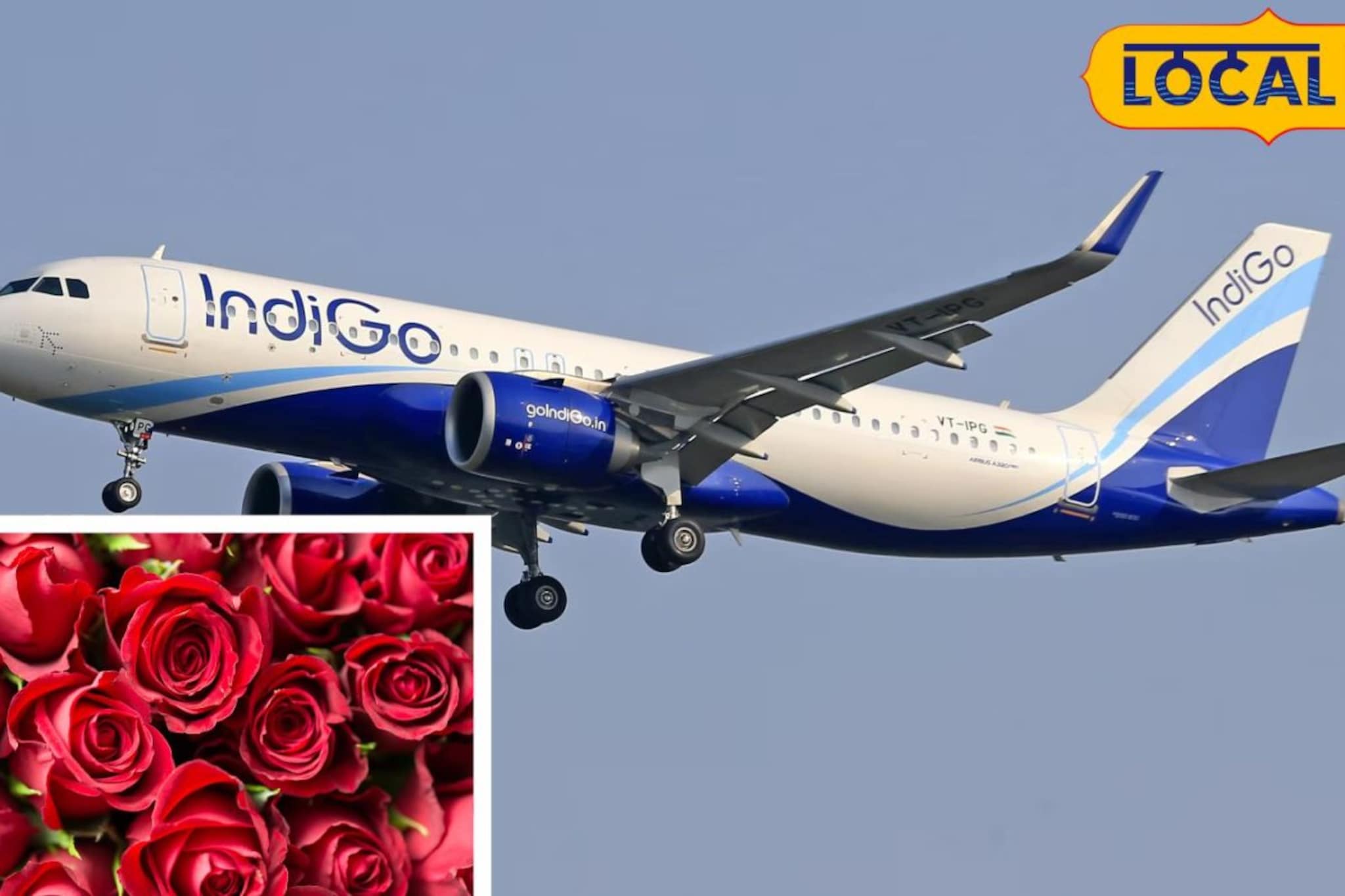 इंडिगो संकटाचा पुणे जिल्ह्यातील शेतकऱ्यांना फटका; या कारणामुळे लाखोंचं नुकसान