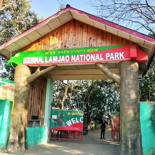 हे उद्यान सुमारे 40 चौरस किलोमीटर क्षेत्रात पसरलेले आहे. दुर्मिळ आणि धोक्यात असलेल्या 'संगाई' किंवा भुवया असलेल्या हरणांसाठी हे एकमेव नैसर्गिक अधिवास आहे. मणिपूरचा राज्य प्राणी, संगाई याला स्थानिक संस्कृतीत एक विशेष स्थान आहे. 