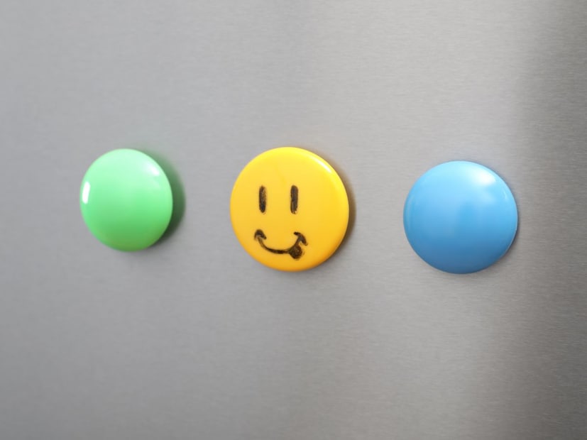 आजकाल फ्रीज (Refrigerator) हे केवळ अन्न आणि भाज्या थंड ठेवणारे उपकरण राहिले नाही, तर ते घराच्या सजावटीचा एक भाग बनले आहे. अनेक लोक फ्रीजच्या दरवाजावर लहान-लहान मॅग्नेट (Magnets) लावतात. मुलांचे ड्रॉइंग्स (Drawings), महत्त्वाच्या नोट्स किंवा प्रवासातील आठवणींचे फोटो लावण्यासाठी या मॅग्नेटचा वापर केला जातो.