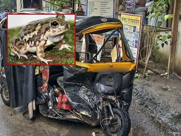 प्रातिनिधीक फोटो