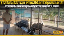 Success Story : इंजिनिअरिंगच्या नोकरीपेक्षा बिझनेस भारी, चंद्रकांतने शेळ्या पाळून 8 महिन्यात कमावले 5 लाख!