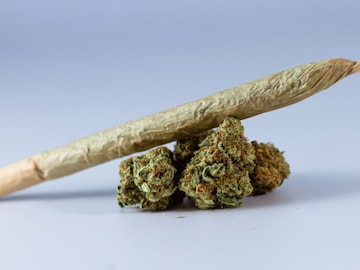 45किलो गांजा सोबत भाजप मंत्रीचा भाऊ अडकला, गांजा तस्करी प्रकरणात तुरुंगात पाठवणी 45किलो गांजा सोबत भाजप मंत्रीचा भाऊ अडकला, गांजा तस्करी प्रकरणात तुरुंगात पाठवणी