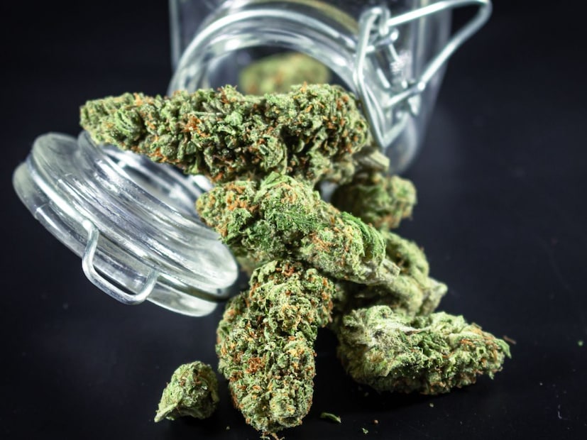 शैलेंद्र सिंग यापूर्वी 5.5 कोटी रुपयांच्या नार्कोटिक कफ सिरप तस्करी प्रकरणात सतना येथे अटक झाला होता आणि सध्या तो बांदा कारागृहात दुसऱ्या एनडीपीएस (NDPS) प्रकरणात आहे. आता मंत्र्यांचे बंधू आणि भावोजी असे दोघेही नार्कोटिक्स प्रकरणात सापडल्यामुळे विरोधकांनी सत्ताधारी पक्षावर थेट निशाणा साधला आहे.