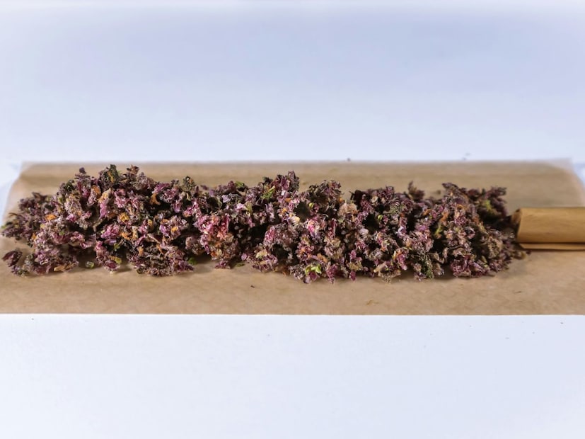 सतना पोलिसांनी दिलेल्या माहितीनुसार, दोन्ही आरोपींविरोधात एनडीपीएस कायद्यांतर्गत (NDPS Act) गुन्हा दाखल करण्यात आला असून, त्यांना 2 दिवसांची न्यायालयीन कोठडी (Judicial Custody) सुनावण्यात आली आहे.