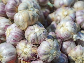 लसूण लवकर खराब होतोय? मग वापरा वापरा या सोप्या आणि प्रभावी स्टोरेज ट्रिक्स