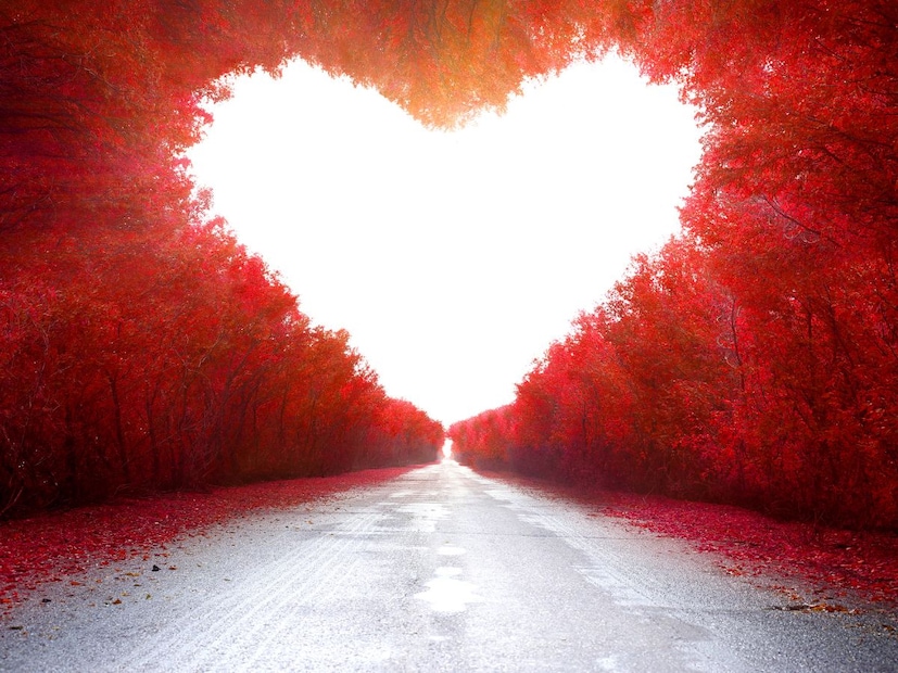 चीनी कनेक्शन काय आहे?
या कोडचा संबंध चीनी (Mandarin) भाषेतील उच्चारांशी (Pronunciation) जोडलेला आहे
520 चा अर्थ: कोडमधील पहिले तीन अंक '520' चा अर्थ चीनी भाषेत 