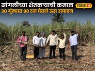 Success Story : सांगलीच्या शेतकऱ्याची कमाल, 30 गुंठ्यात 90 टन घेतलं ऊस उत्पादन, अख्खं गाव पाहतच राहिलं!