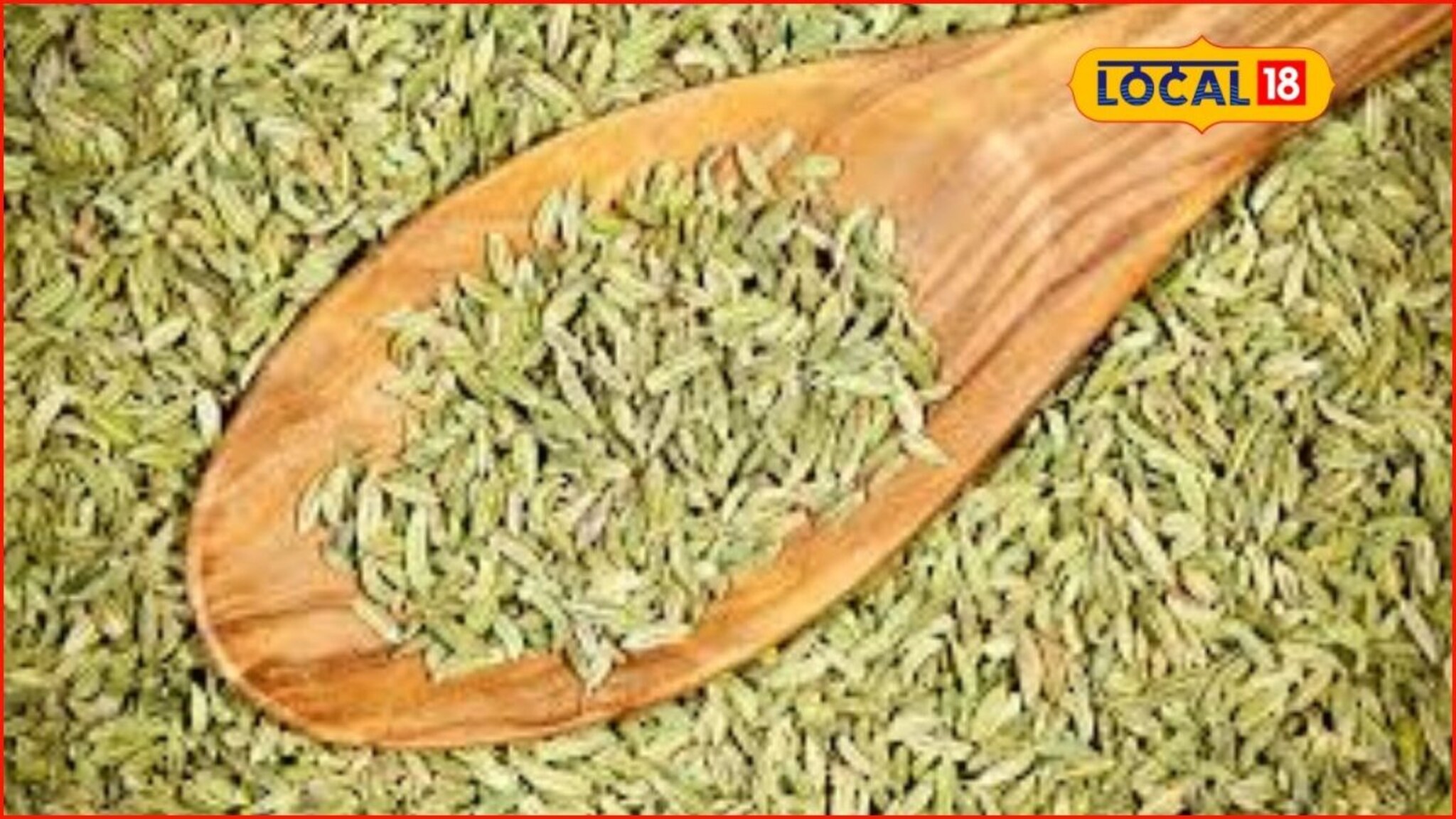 Health Tips : आरोग्यासाठी नैसर्गिक टॉनिक, वजन कमी करायला होईल मदत, बडीशेप खाण्याचे हे फायदे माहितीये का?