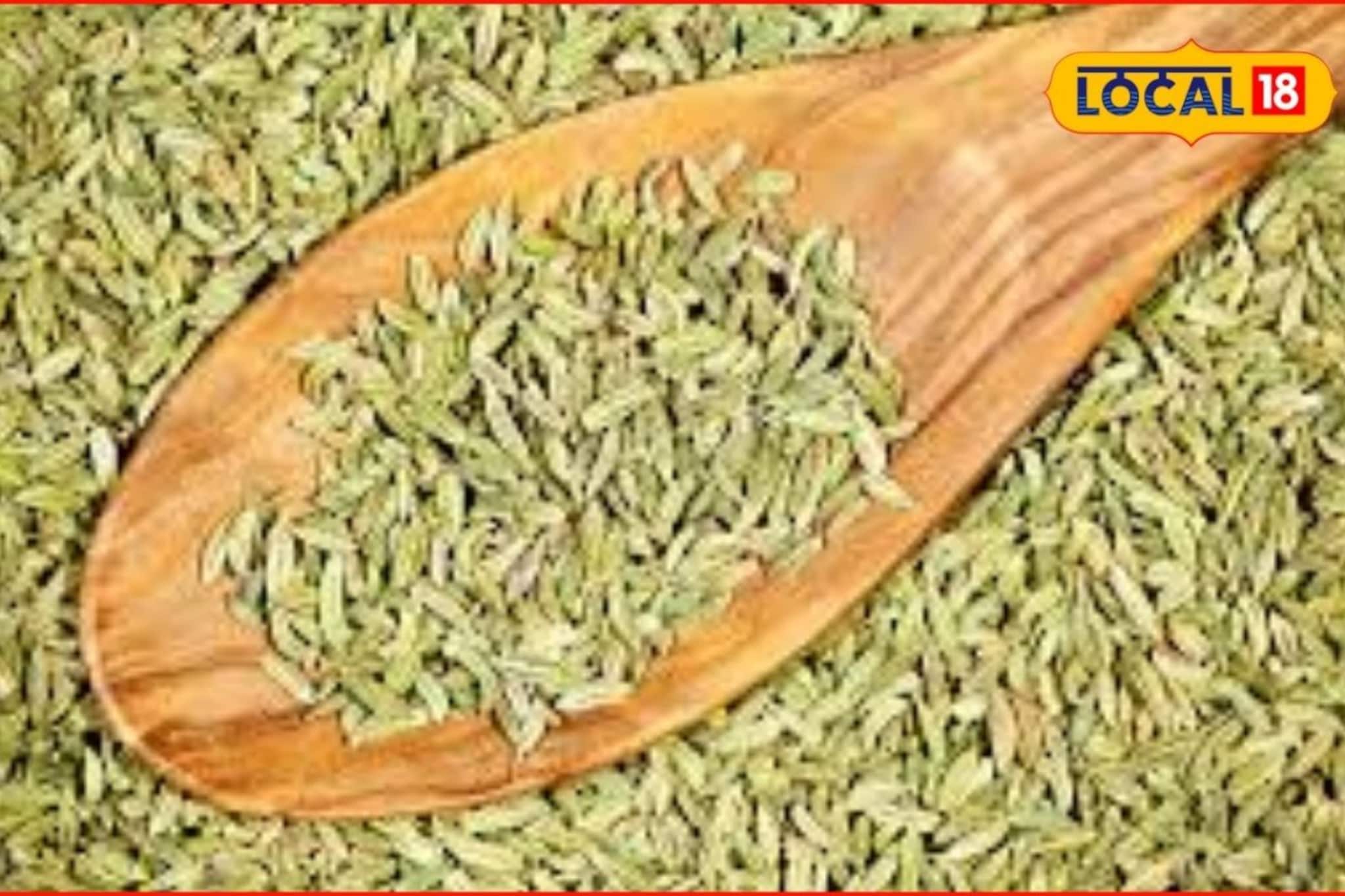 आरोग्यासाठी टॉनिक, वजन कमी करायला होईल मदत,बडीशेप खाण्याचे हे फायदे माहितीये का? आरोग्यासाठी टॉनिक, वजन कमी करायला होईल मदत,बडीशेप खाण्याचे हे फायदे माहितीये का?