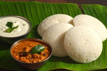 Rava idli vs Rice idli : रवा की तांदूळ इडली कोणती आरोग्यासाठी चांगली? 99 टक्के गृहिणी इथेच गोंधळतात