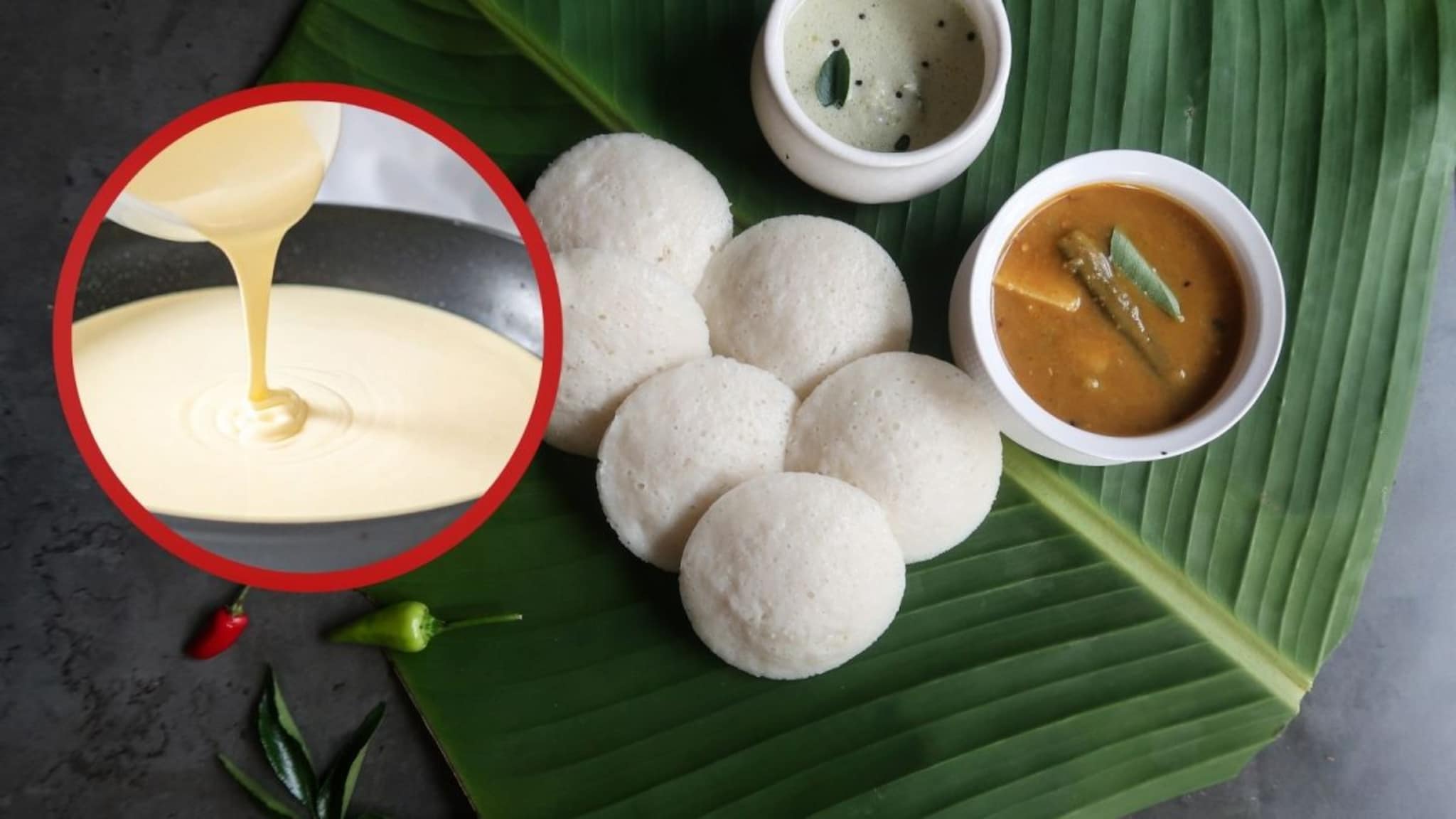 Idli : थंडीमध्ये इडलीचे पीठ लवकर आंबवण्यासाठी काय करावं? 'या' बेसिक आणि सोप्या पद्धतीने अनेकांना माहित नाहीत
