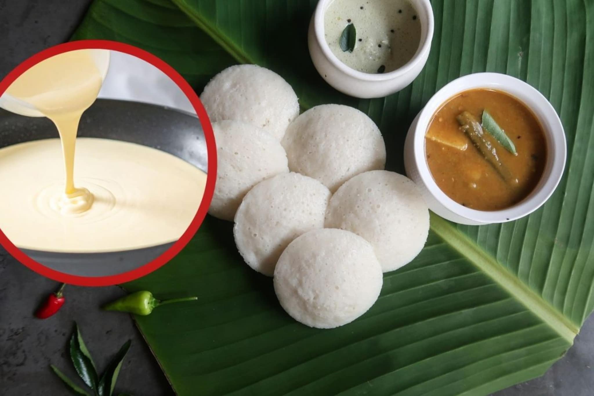 Idli : थंडीमध्ये इडलीचे पीठ लवकर आंबवण्यासाठी काय करावं? Idli : थंडीमध्ये इडलीचे पीठ लवकर आंबवण्यासाठी काय करावं?