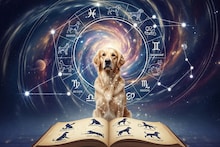 Chinese Horoscope: कोणा-कोणाची रास कुत्रा? जन्मसाल यापैकी असलेली माणसं या राशीत येतात, लय गुणाची