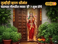 तुम्हीही व्हाल श्रीमंत घराच्या गॅलरीत लावा 'ही' ७ शुभ रोपे; आर्थिक समस्या लगेच होतील दूर