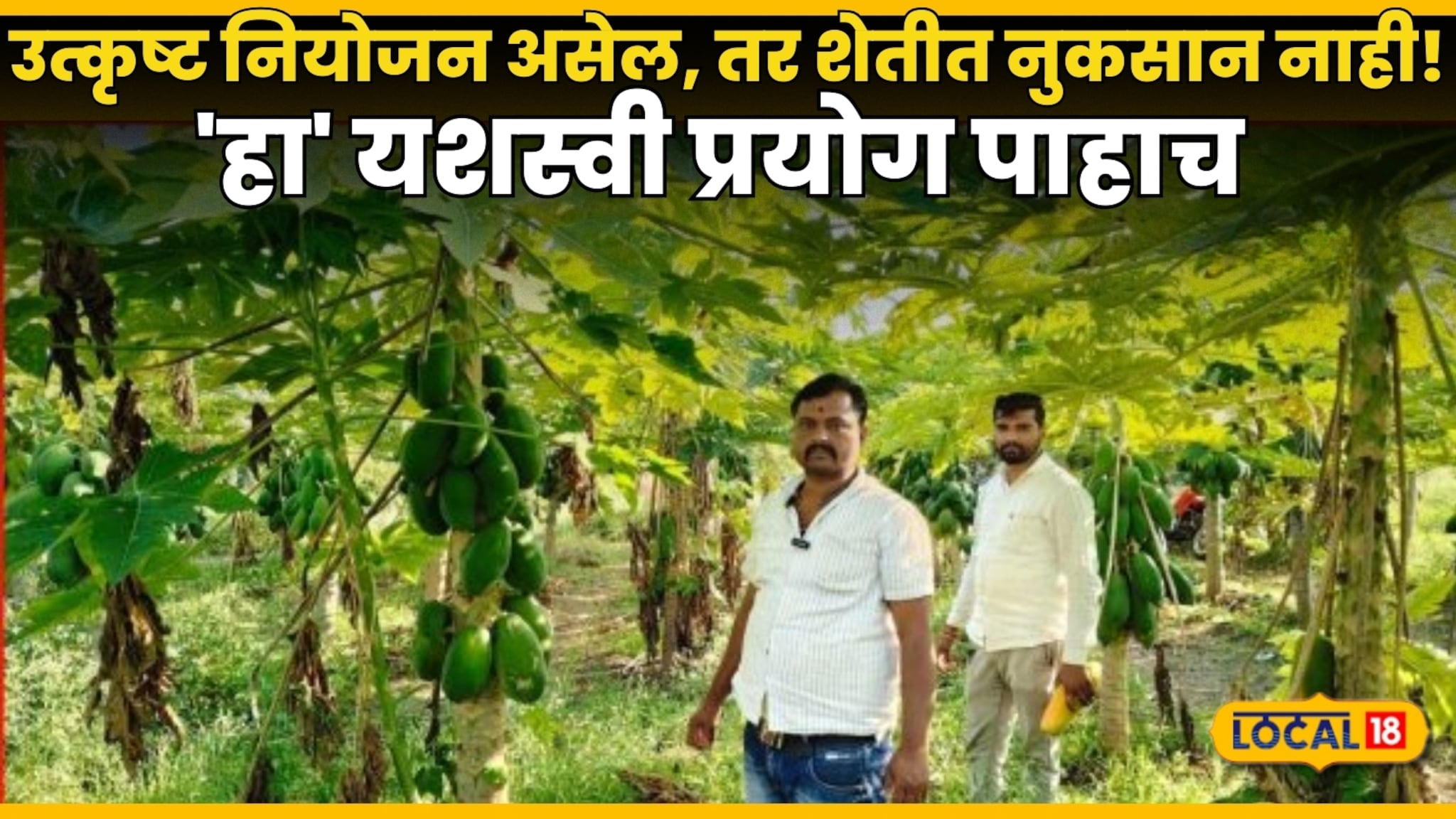 Success Story Video: उत्कृष्ट नियोजन असेल, तर शेतीत नुकसान नाही! छत्रपती संभाजीनगरच्या नारायण ठोंबरे यांचा 'हा' यशस्वी प्रयोग पाहाच Video! Success Story Video: उत्कृष्ट नियोजन असेल, तर शेतीत नुकसान नाही! छत्रपती संभाजीनगरच्या नारायण ठोंबरे यांचा 'हा' यशस्वी प्रयोग पाहाच Video!
