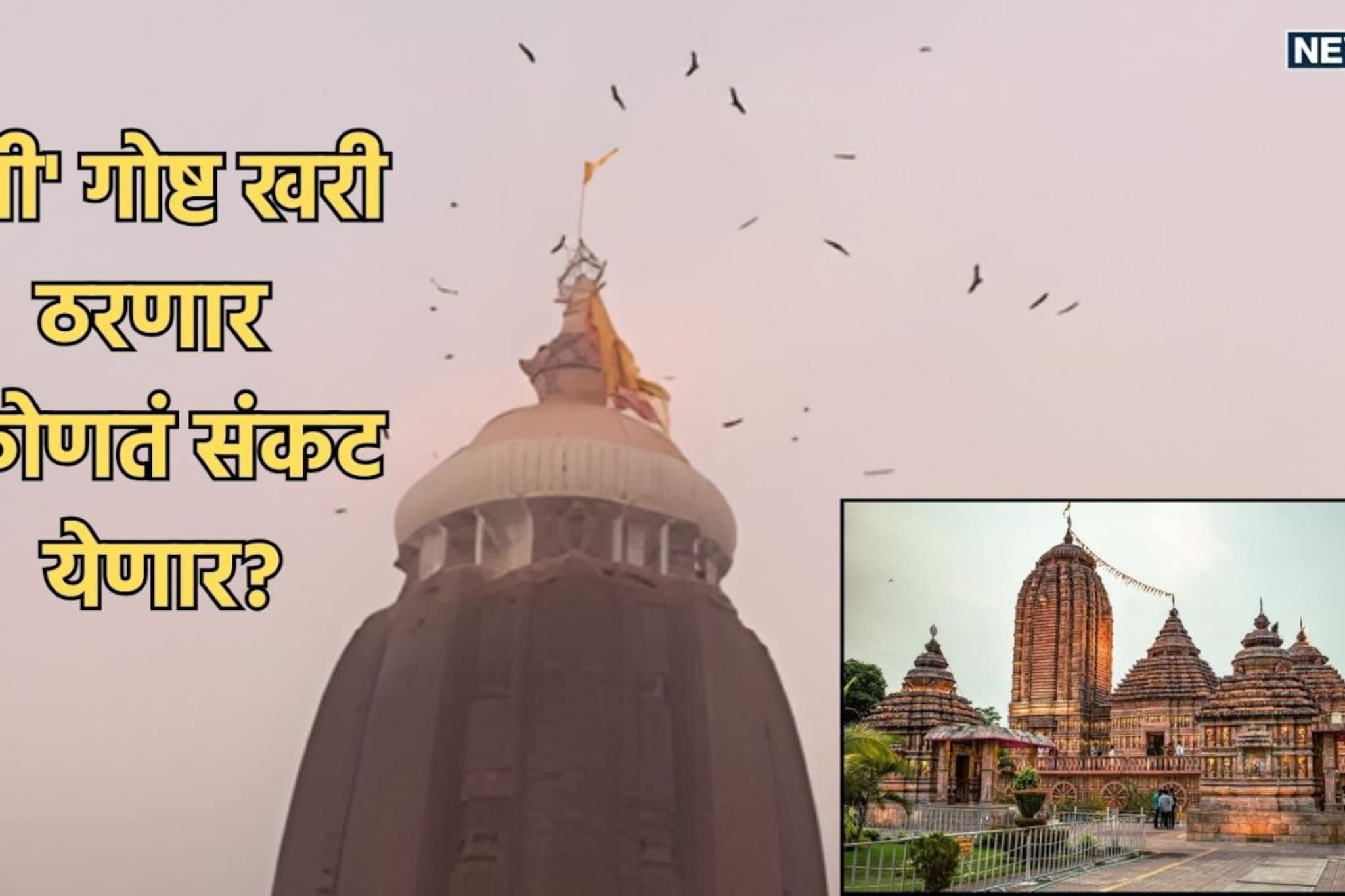 जगन्नाथ मंदिराच्या शिखरावर घिरट्या घालतोय पक्षांचा थवा; मोठा अनर्थ होणार? जगन्नाथ मंदिराच्या शिखरावर घिरट्या घालतोय पक्षांचा थवा; मोठा अनर्थ होणार?