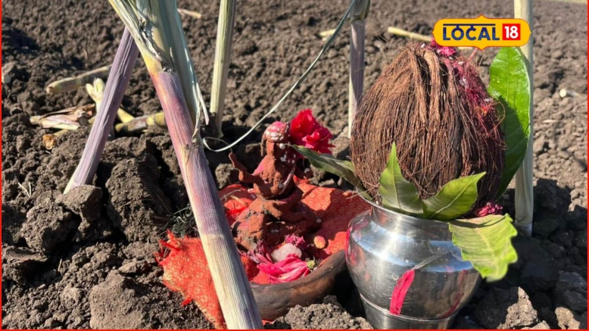 महाराष्ट्रातील अनोखी परंपरा, ऊस लागवड करताना केली जाते ही पुजा, काय आहे कारण?