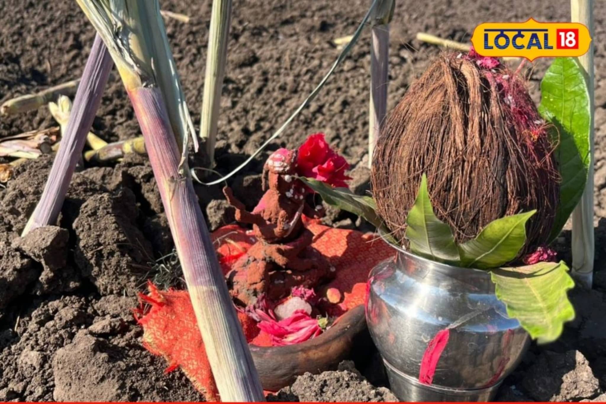 महाराष्ट्रातील अनोखी परंपरा, ऊस लागवड करताना केली जाते ही पुजा, काय आहे कारण? महाराष्ट्रातील अनोखी परंपरा, ऊस लागवड करताना केली जाते ही पुजा, काय आहे कारण?