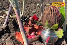 महाराष्ट्रातील अनोखी परंपरा, ऊस लागवड करताना केली जाते ही विशेष पुजा, काय आहे कारण? VIdeo