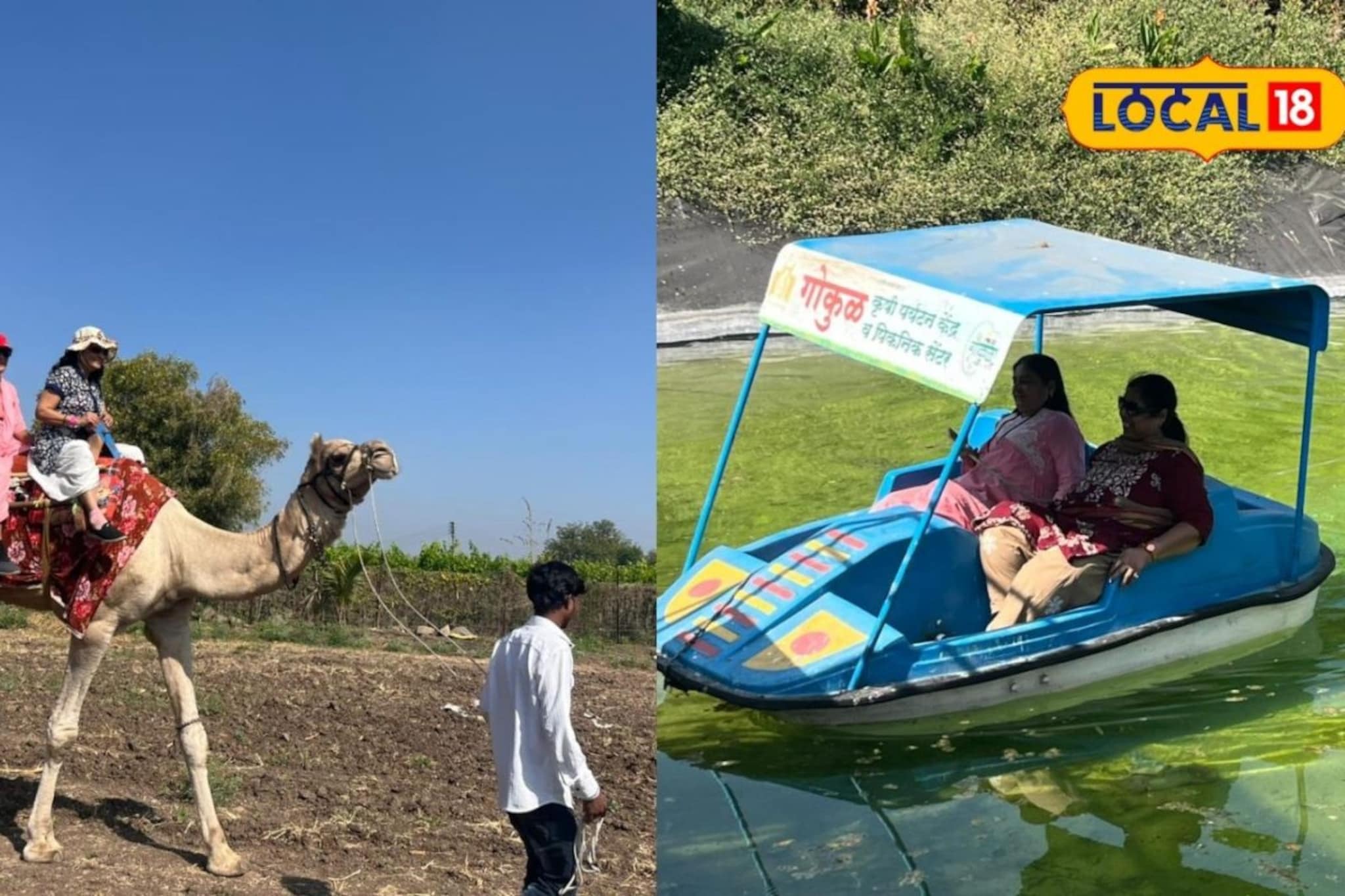 2 एकरात उभारला पर्यटन व्यवसाय, वर्षाला 25 लाखांची कमाई, 20 जणांना दिला रोजगार