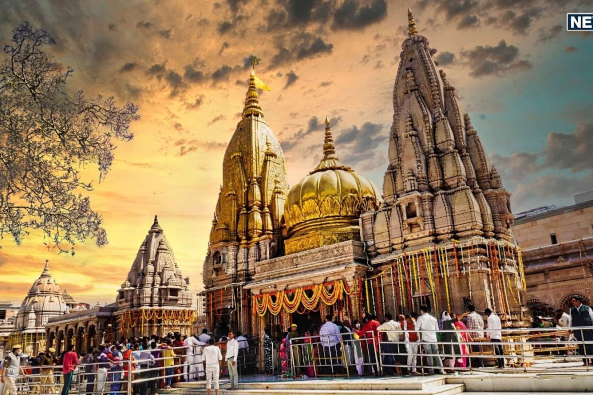 मोठा निर्णय! भक्तांची होणार निराशा, 'इतके' दिवस ऑनलाइन बुकिंग राहणार बंद मोठा निर्णय! भक्तांची होणार निराशा, 'इतके' दिवस ऑनलाइन बुकिंग राहणार बंद