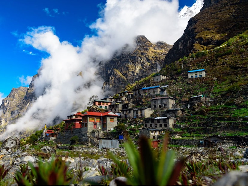 नेपाळ सरकारने केलेल्या तपासणीत असे दिसून आले की, गावातील 92 टक्के पुरुषांनी आणि अनेक महिलांनी त्यांची एक एक किडनी विकली होती. येथील लोक उदरनिर्वाहासाठी अनेकदा फक्त 2000 रुपयांना त्यांची किडनी विकतात. 