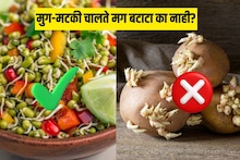 मोड आलेली मटकी-मूग खातो, मग बटाटे का नाही? 99 टक्के गृहिणींना माहित नाहीत ही कारणं