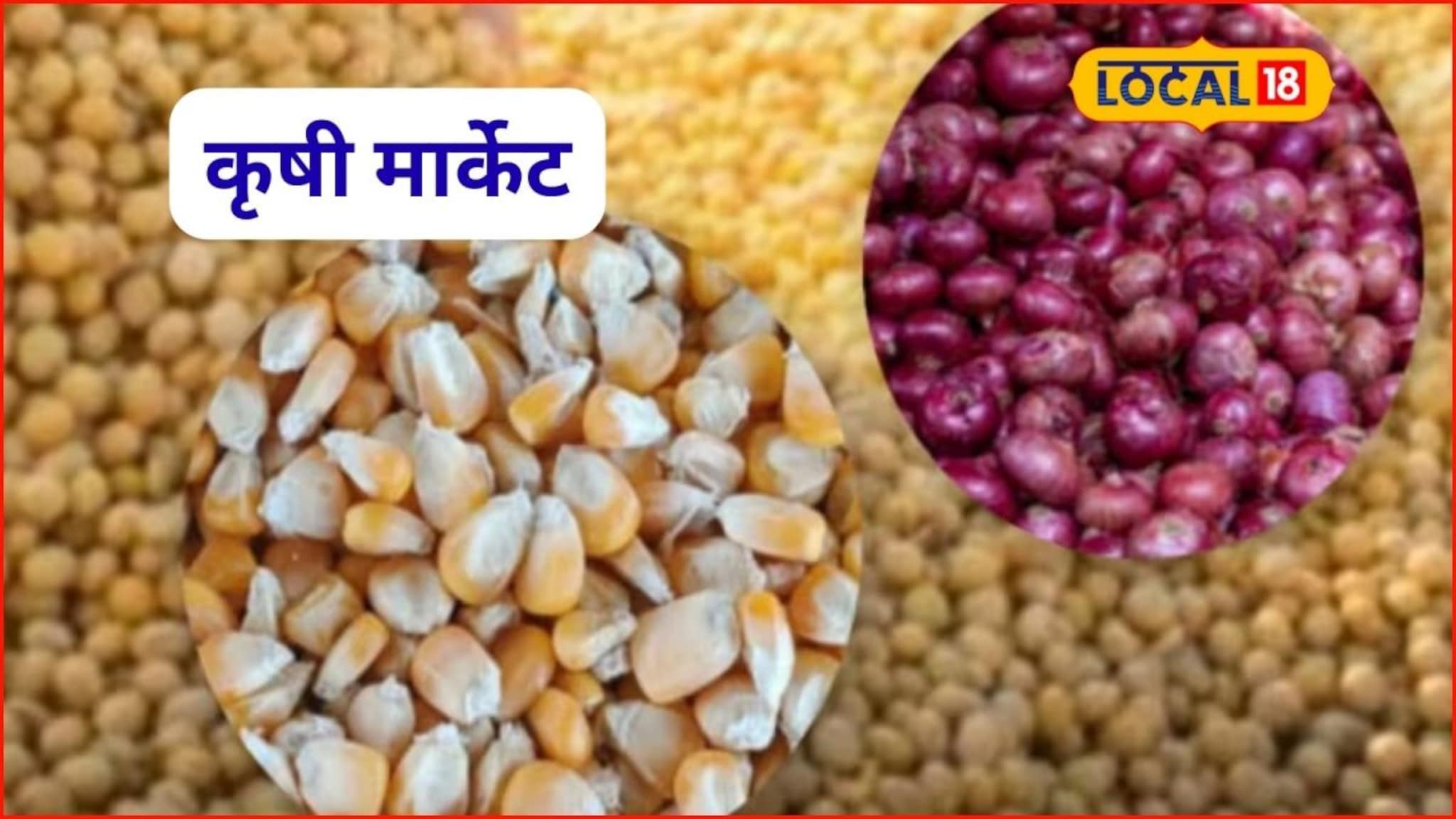 Krishi Market: कांद्यानं रडवलं, रविवारी मका अन् सोयाबीनला किती मिळाला भाव?