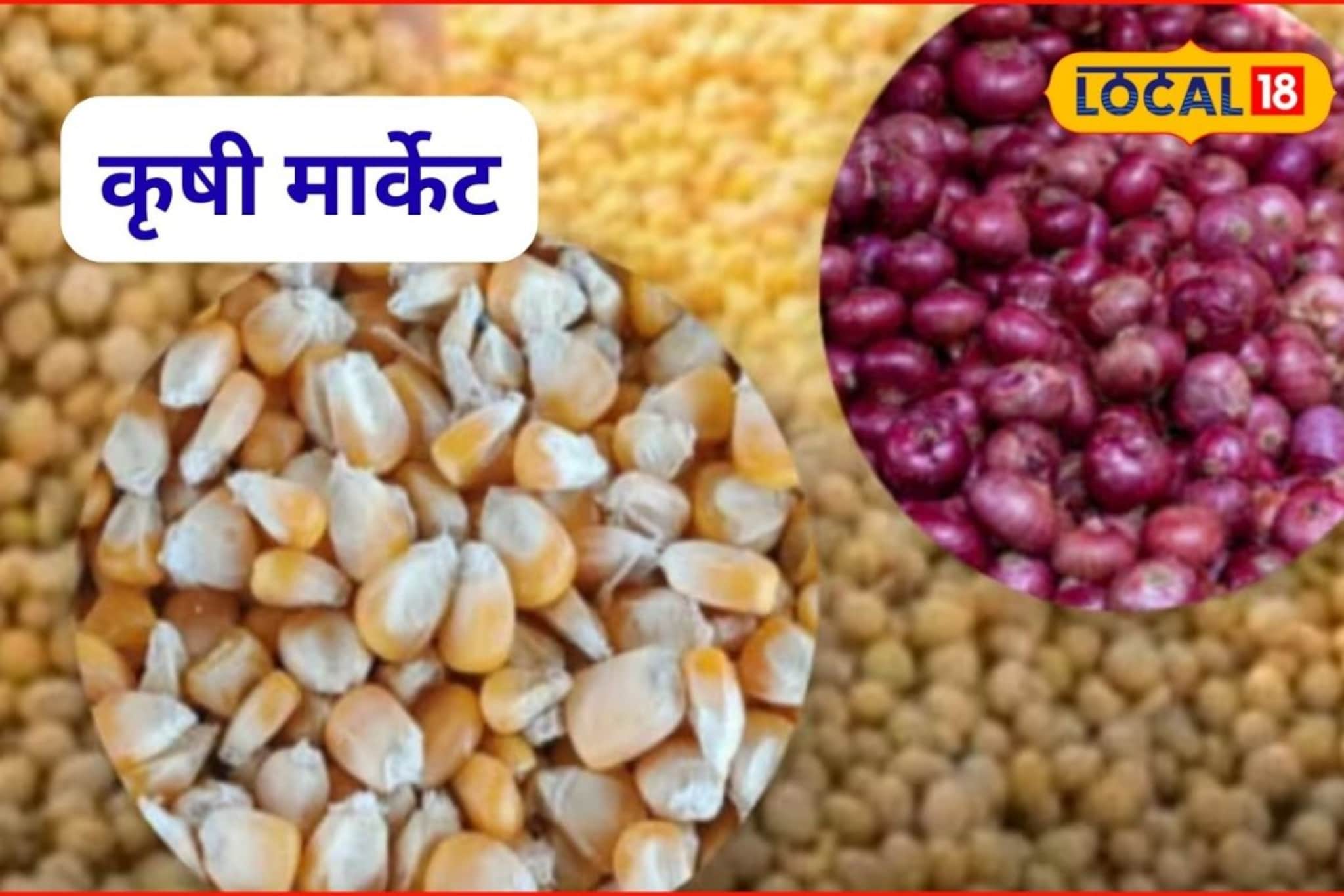 Krishi Market: कांद्यानं रडवलं, रविवारी मका अन् सोयाबीनला किती मिळाला भाव?