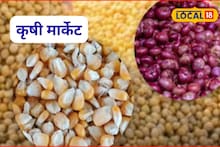 Krishi Market: कांद्यानं रडवलं, रविवारी मका अन् सोयाबीनला किती मिळाला भाव?