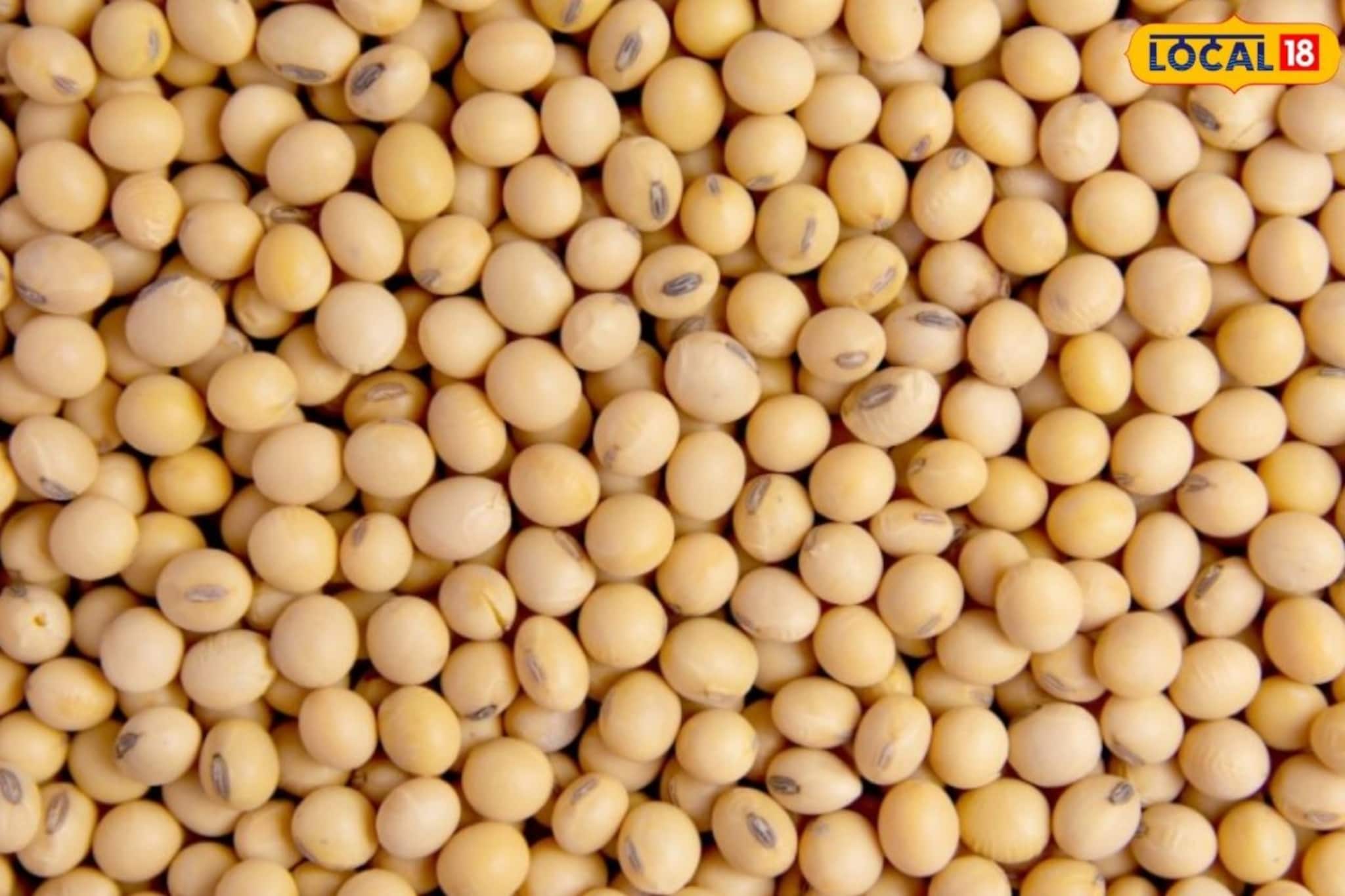 मक्याचे दर स्थिर, कांद्यामध्ये पुन्हा घसरण, सोयाबीनला आज काय मिळाला भाव? Video मक्याचे दर स्थिर, कांद्यामध्ये पुन्हा घसरण, सोयाबीनला आज काय मिळाला भाव? Video