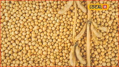 Soybean price surges to ₹6000; Onion, Maize rates also up in Maharashtra