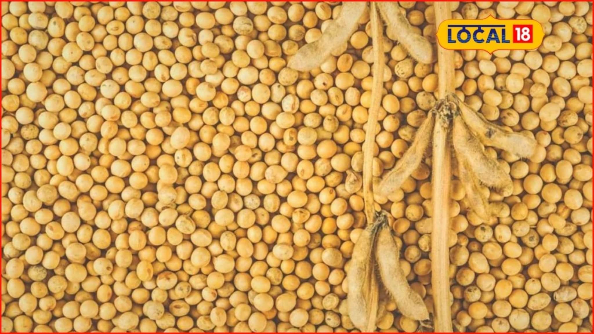 सोयाबीनच्या दरात पुन्हा मोठी वाढ, कांदा आणि मक्याला काय मिळाला आज भाव? Video