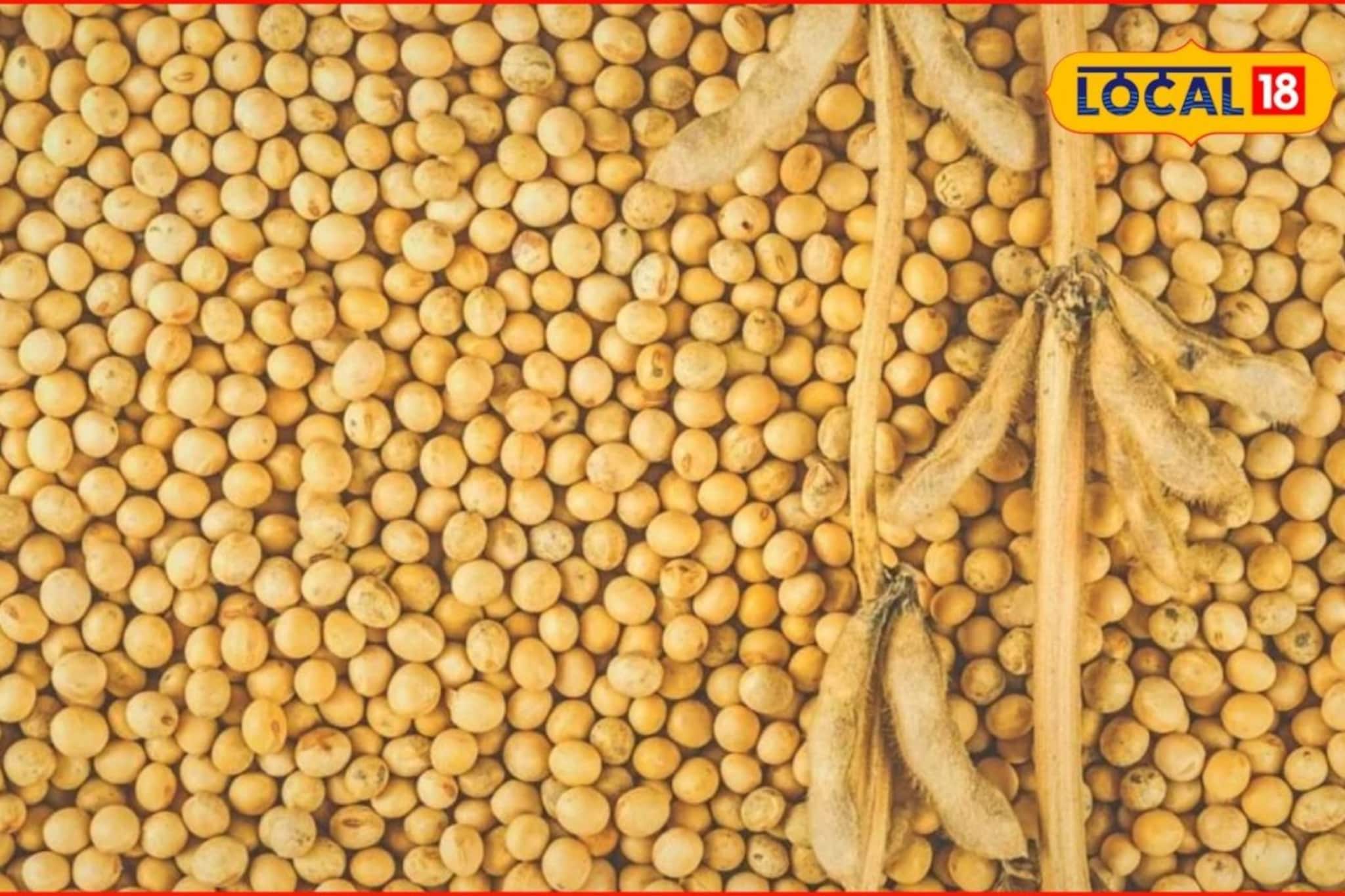 सोयाबीनच्या दरात पुन्हा मोठी वाढ, कांदा आणि मक्याला काय मिळाला आज भाव? Video सोयाबीनच्या दरात पुन्हा मोठी वाढ, कांदा आणि मक्याला काय मिळाला आज भाव? Video