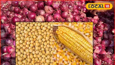कांदा, मक्याच्या दरात पुन्हा घट, सोयाबीनला किती मिळाला भाव? रविवारचे बाजारभाव